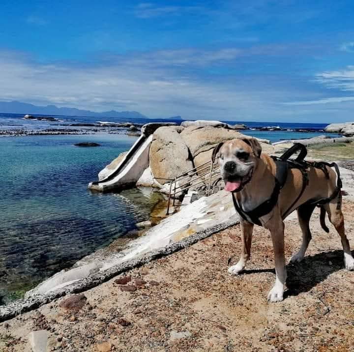 Kerneelz on the coast