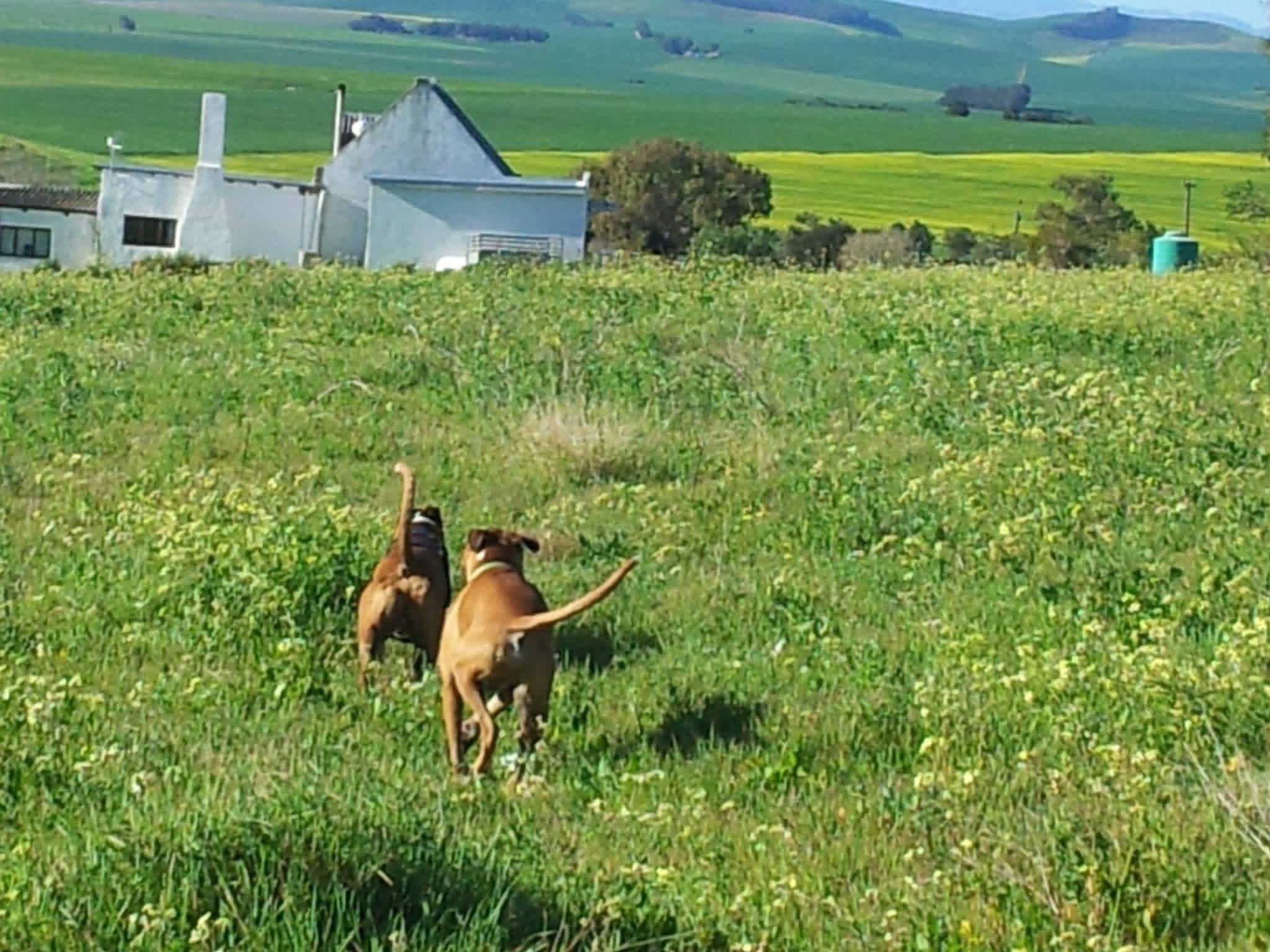 Kerneelz on a farm adventure