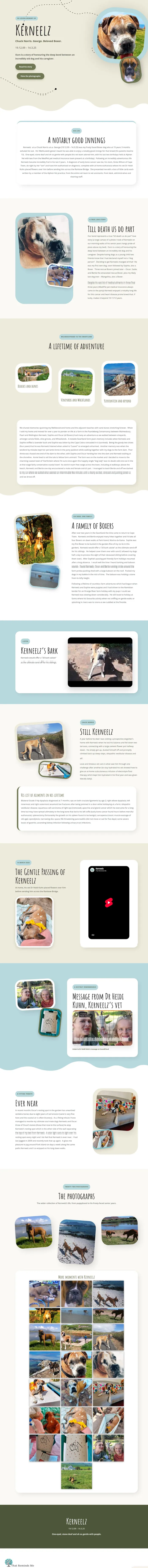 Preview of Kerneelz’s story page